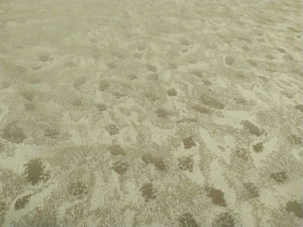 Tappezzeria Stoffa Tessuto a Metraggio Altezza 280 CM Ideale per Copri Tavola Divano Cadute per Tende Mantovane - immagine 2