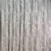 IMG20250118125956 risultato