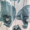 IMG20250512102742 risultato