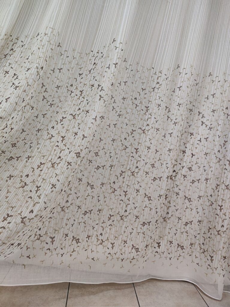 IMG20250830101826 risultato