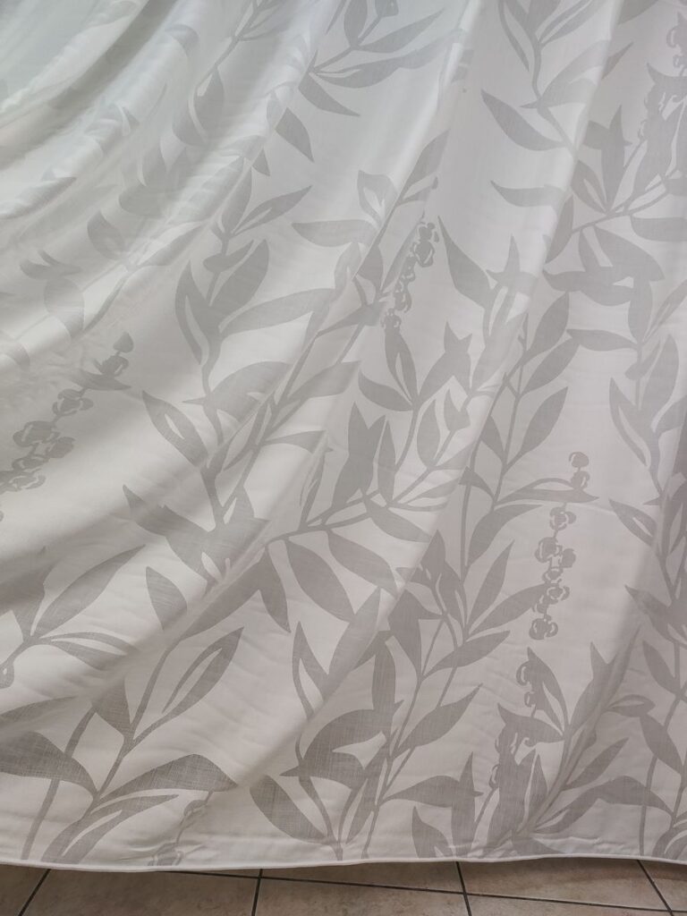 IMG20260130102941 risultato