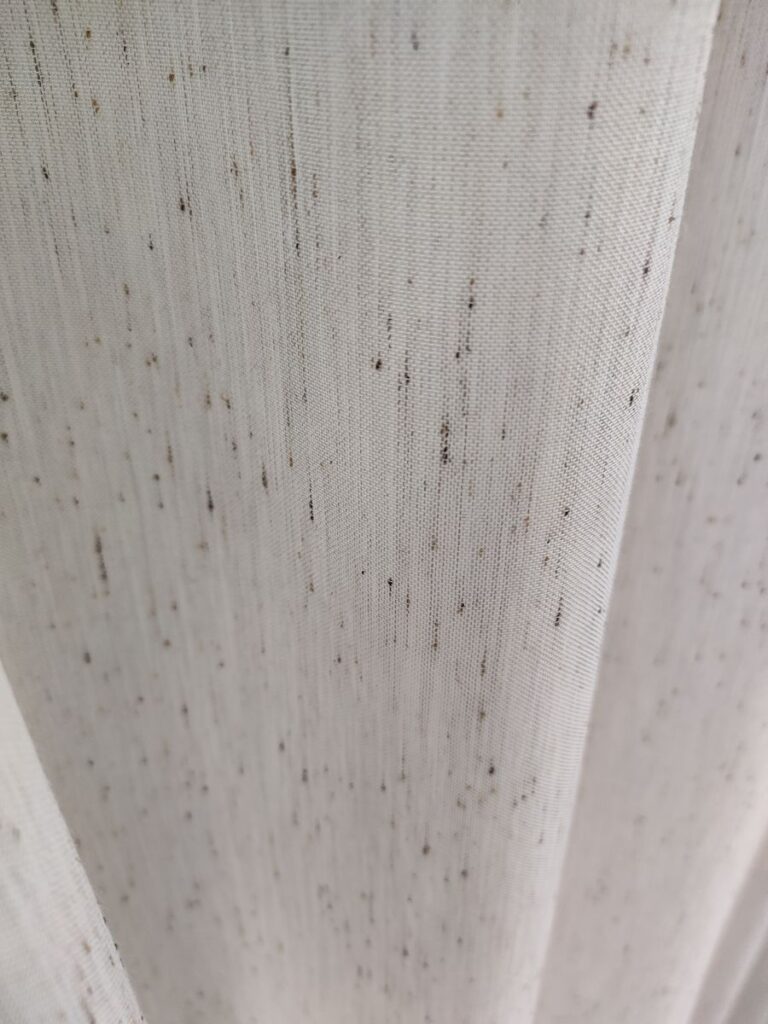 IMG20260205113258 risultato risultato