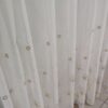 IMG20260423090647 risultato