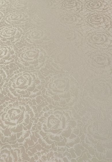 home 12 IMG 20240228 165352 risultato 3f97b2b7